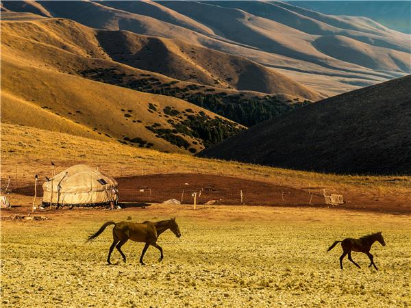 Delhi to Tashkent overland tour, Moghul Caravan