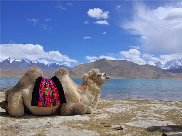 Delhi to Tashkent overland tour, Moghul Caravan