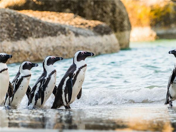 South Africa highlights holiday