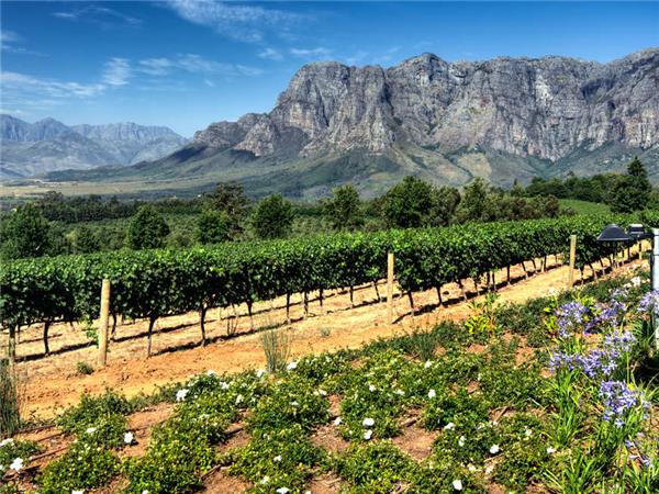 South Africa highlights holiday