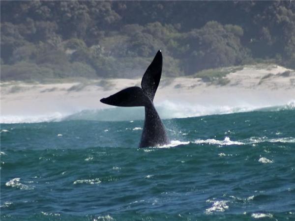 South Africa highlights holiday