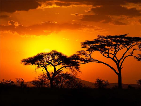 South Africa highlights holiday