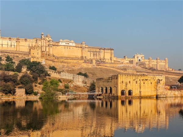 Northern India culture and wildlife holiday