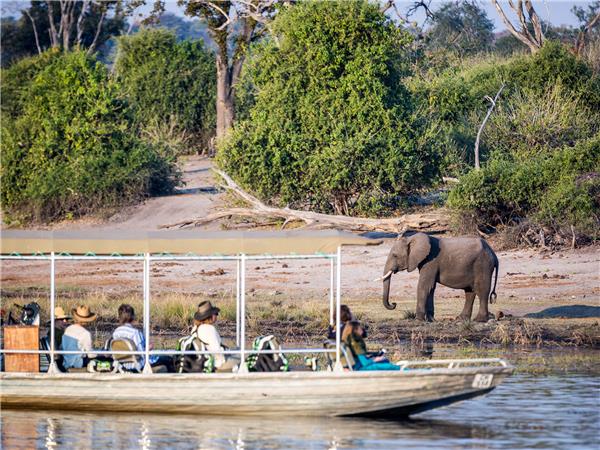 Botswana family Safari with teenagers holiday