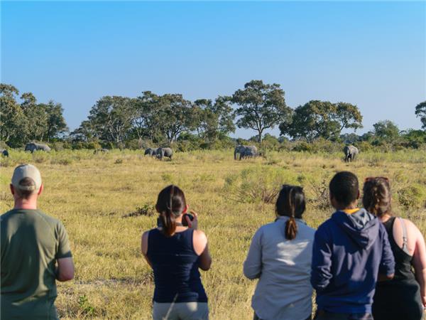 Botswana family Safari with teenagers holiday