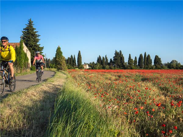 Cycling holiday in Provence