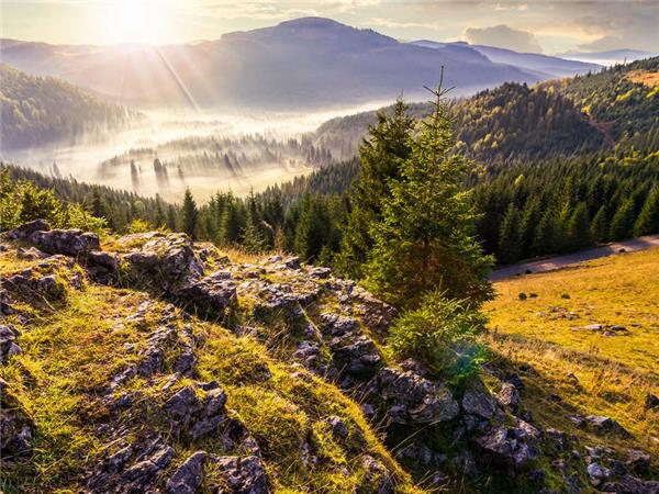 Romania highlights small group holiday