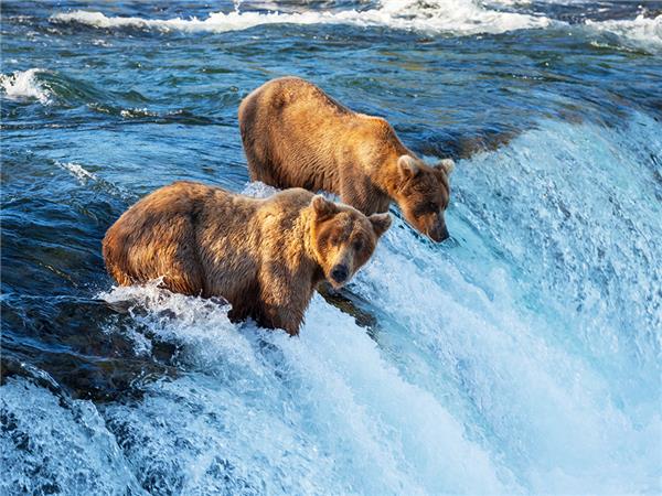 Alaska adventure holiday