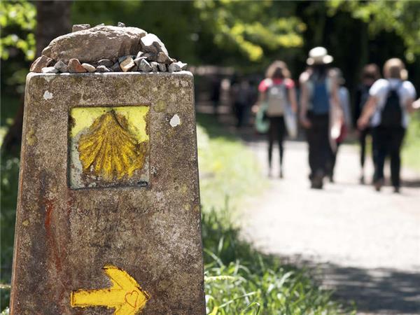 Camino de Santiago small group holiday