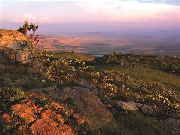 South Africa and Swaziland safari holiday