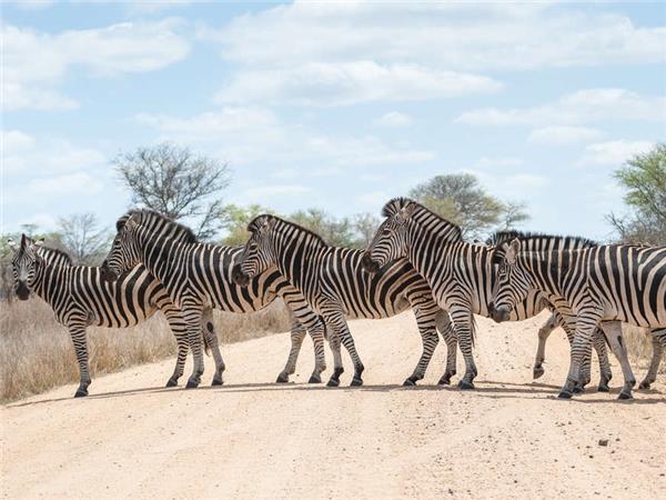 South Africa and Swaziland safari holiday