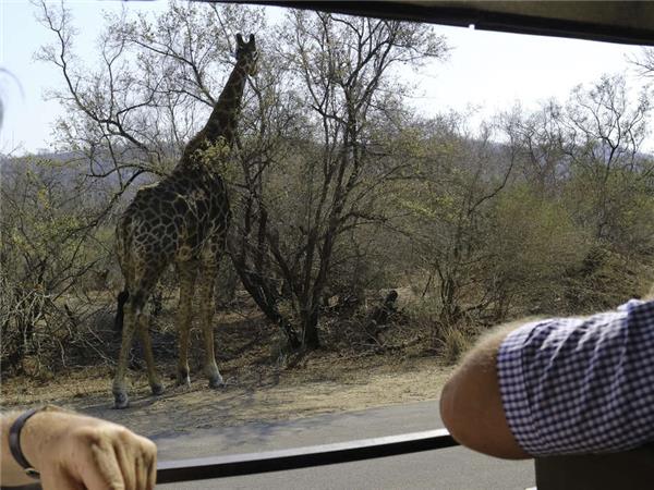 South Africa and Swaziland safari holiday