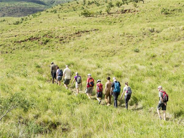 South Africa and Swaziland safari holiday