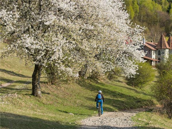 Cycling holiday in Romania small group