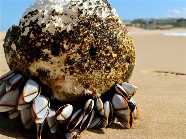 Portugal guided walking holiday