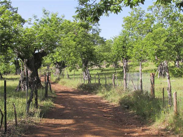 Seville to Porto cycling holiday