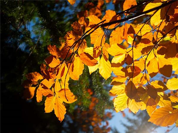 Autumn walking holiday in the Scottish Highlands
