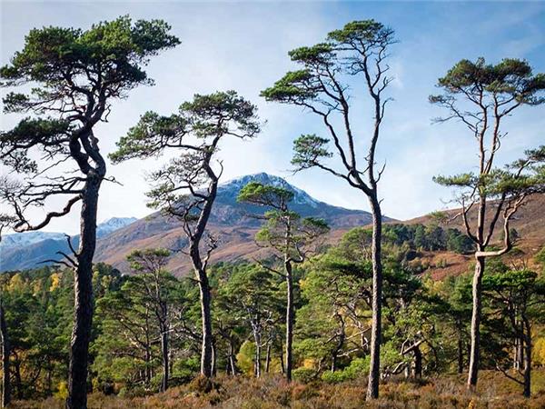 Autumn walking holiday in the Scottish Highlands