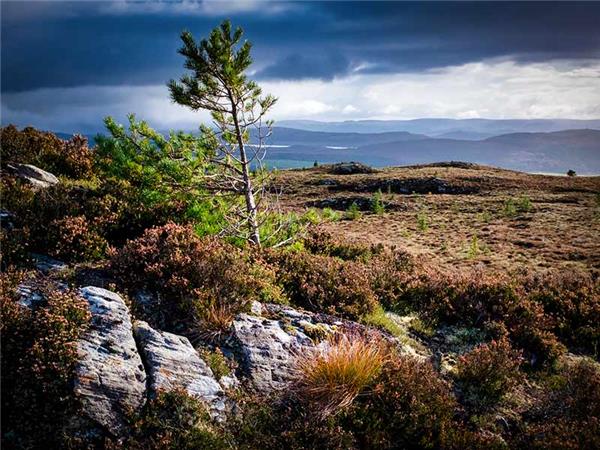Autumn walking holiday in the Scottish Highlands
