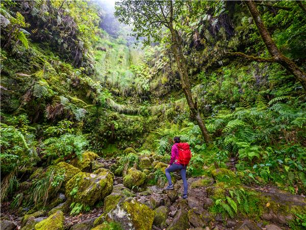 Walking holiday in Madeira