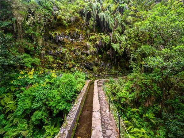 Walking holiday in Madeira