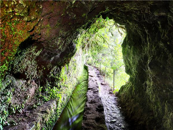 Walking holiday in Madeira