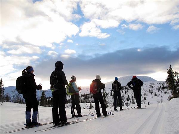 Cross country skiing in Norway