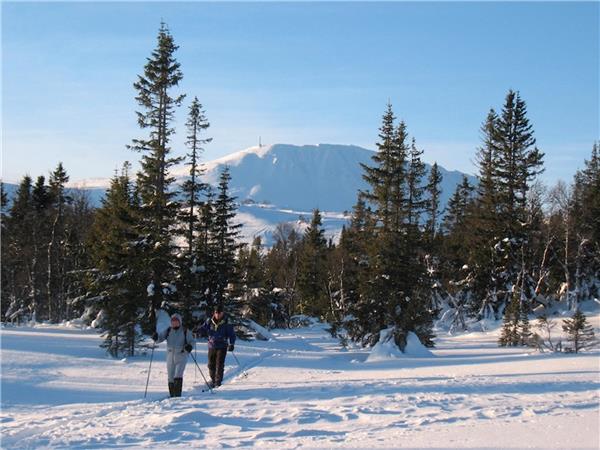 Cross country skiing holiday in Norway