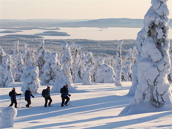 Finland winter activity holiday & Northern Lights