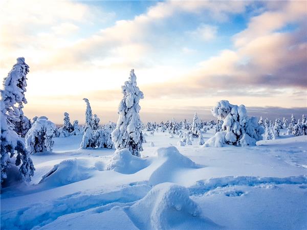Finland winter activity holiday & Northern Lights