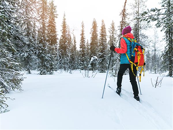 Finland winter activity holiday & Northern Lights