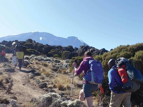 Kilimanjaro Shira Route climb