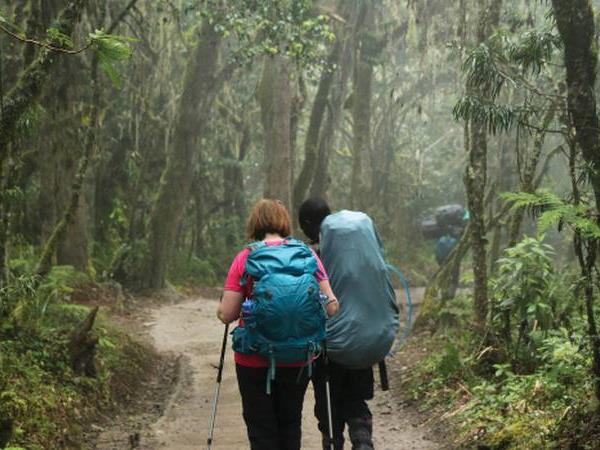 Kilimanjaro Shira Route climb