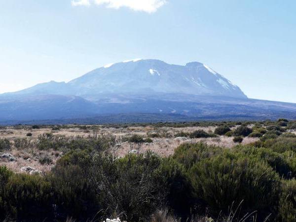 Kilimanjaro Shira Route climb