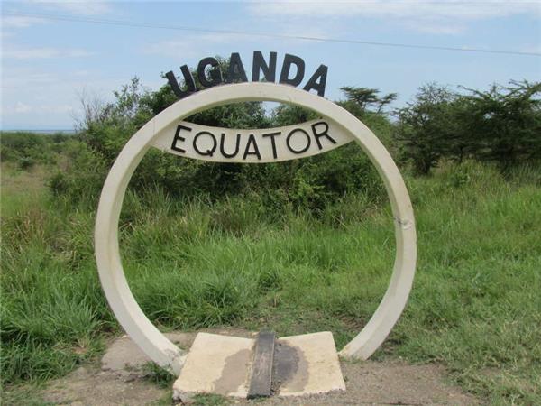 Gorilla and Chimp safari in Uganda