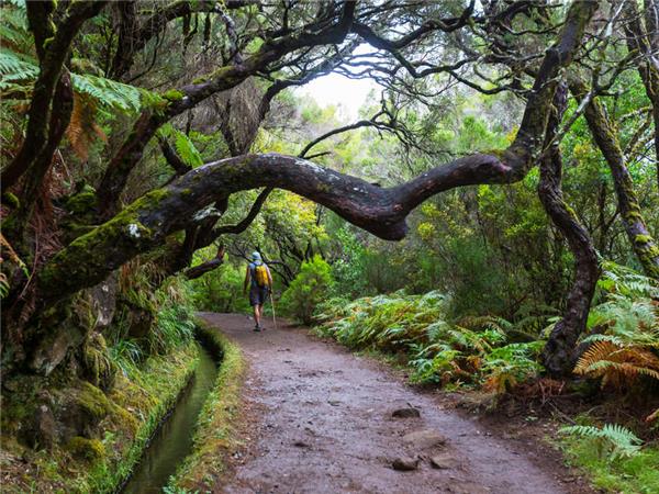 Madeira walking holiday