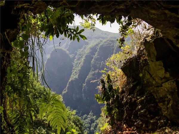 Madeira walking holiday