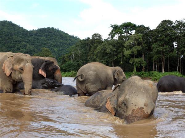 Northern Thailand holiday with added comfort