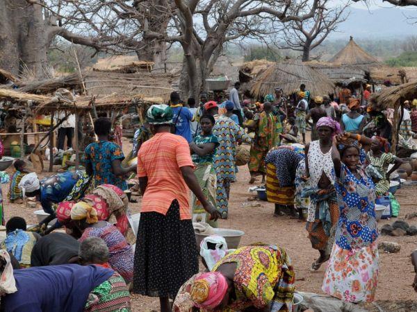 Togo & Benin holiday