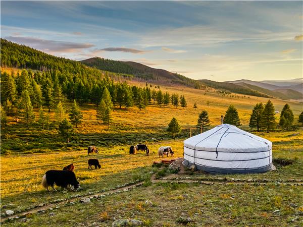 Naadam festival & Moscow holiday