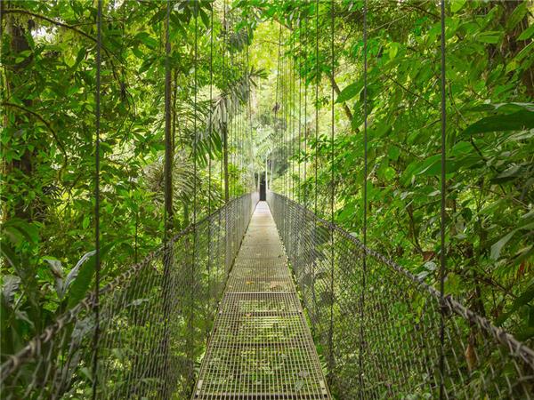 Cycle Nicaragua, Costa Rica and Panama holiday