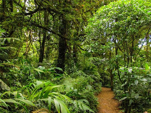 Cycle Nicaragua, Costa Rica and Panama holiday