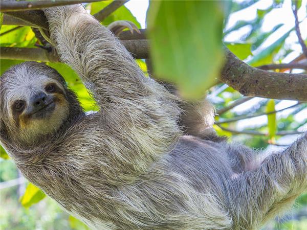 Cycle Nicaragua, Costa Rica and Panama holiday