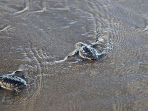 Highlights of El Salvador holiday