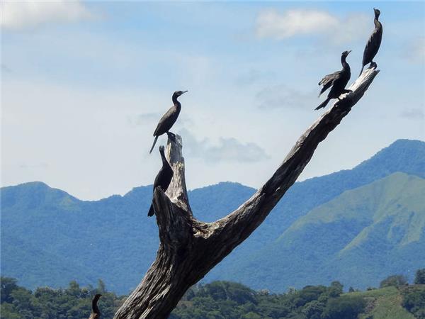 Highlights of El Salvador holiday