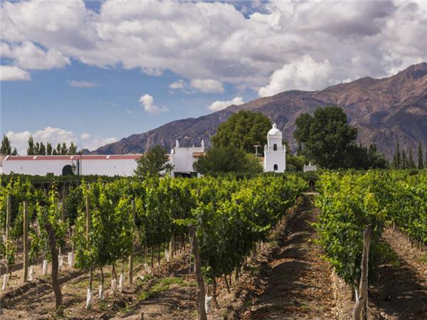 Wine and Landscapes of Argentina holiday