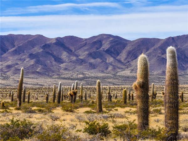 Wine and Landscapes of Argentina holiday