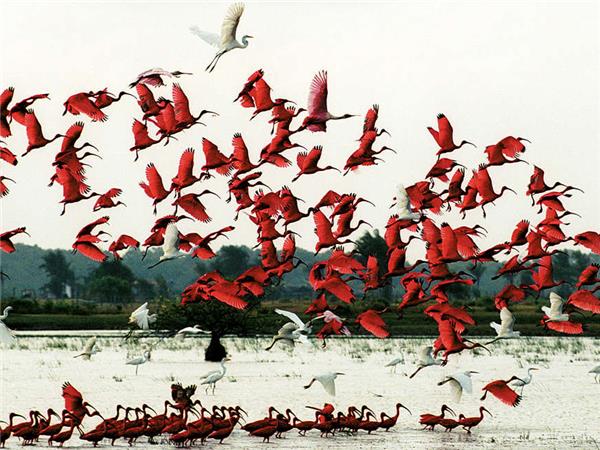Brazilian Amazon by boat holiday