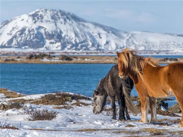 Iceland winter adventure holiday