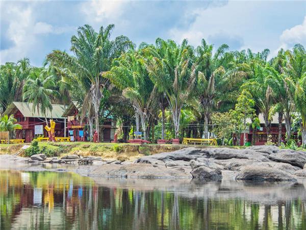Guyana and Suriname holiday